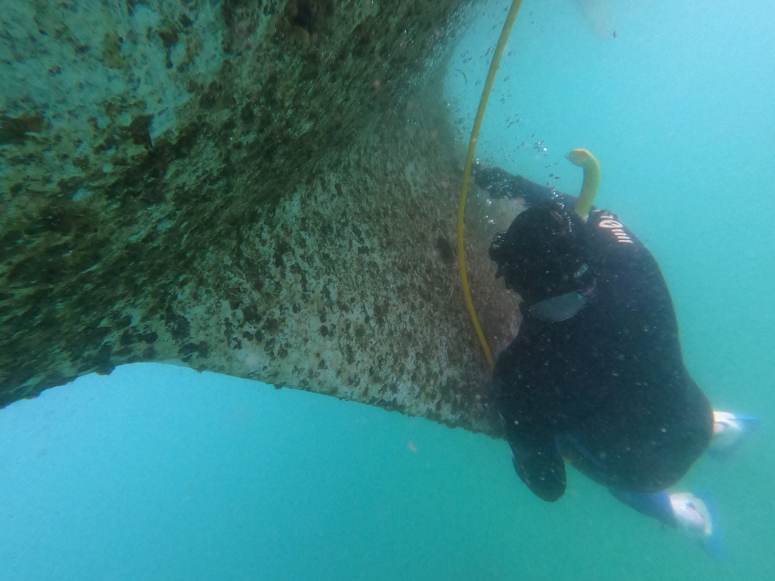 Diver working on a fouled vessel hull